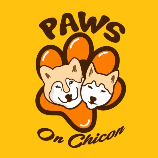 Dog - Cat