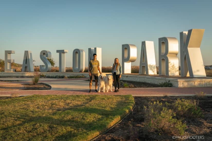 Eastcation: Pup Portraits