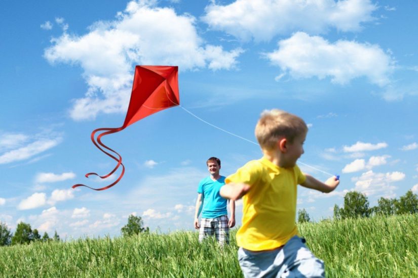 Flight - Kite