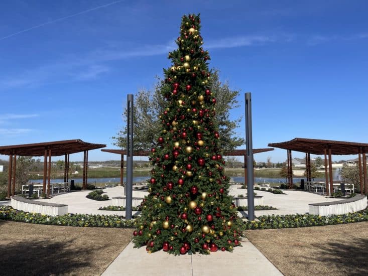 Holidays - Christmas Tree