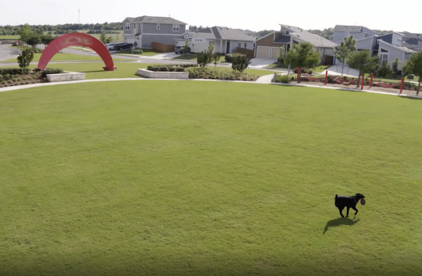 Grassland - Artificial turf - Furry Friends