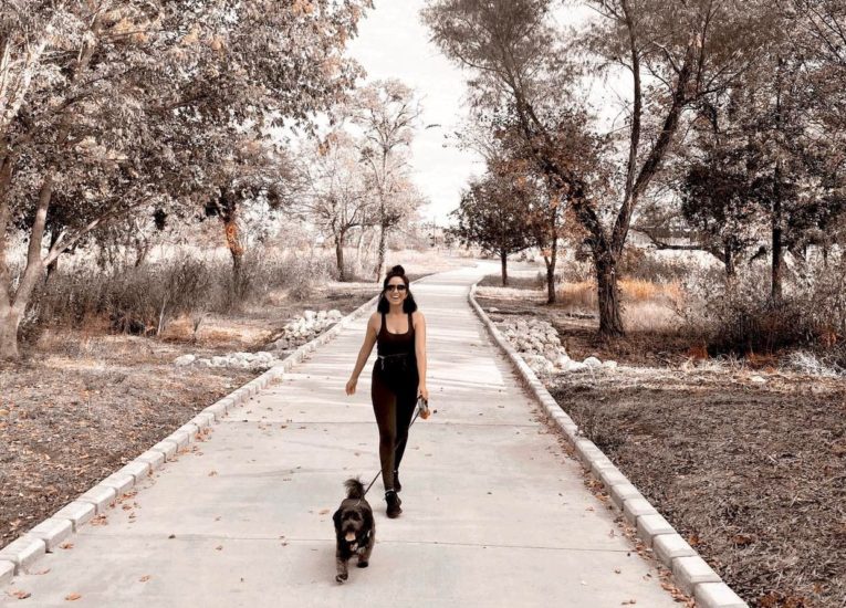 Woman Walking Dog In Park